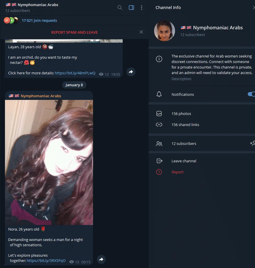 Preview of the Nymphomaniac Arabs Telegram channel