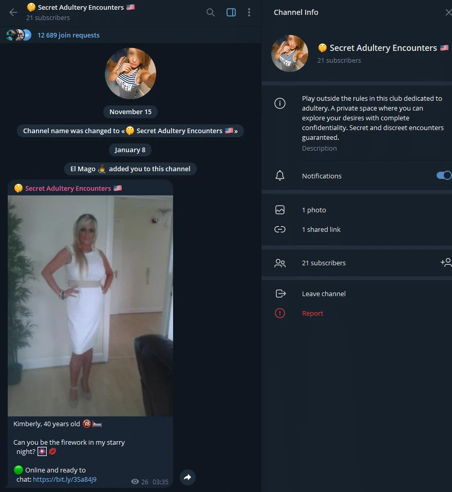 Preview of the Secret Adultery Encounters Telegram group